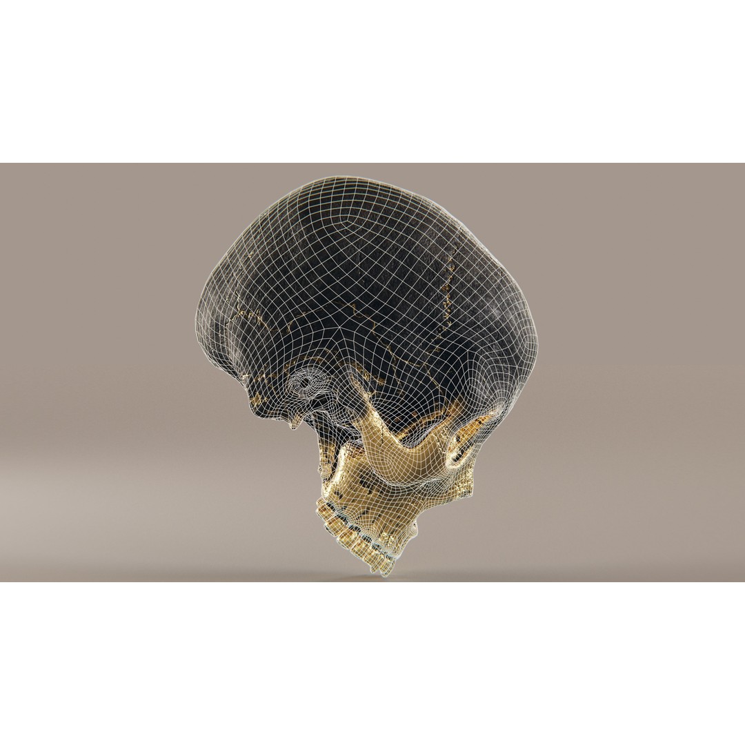 Realistic Ornated Skull 3D Model – PBR Textured, Game-Ready Formats - View 24