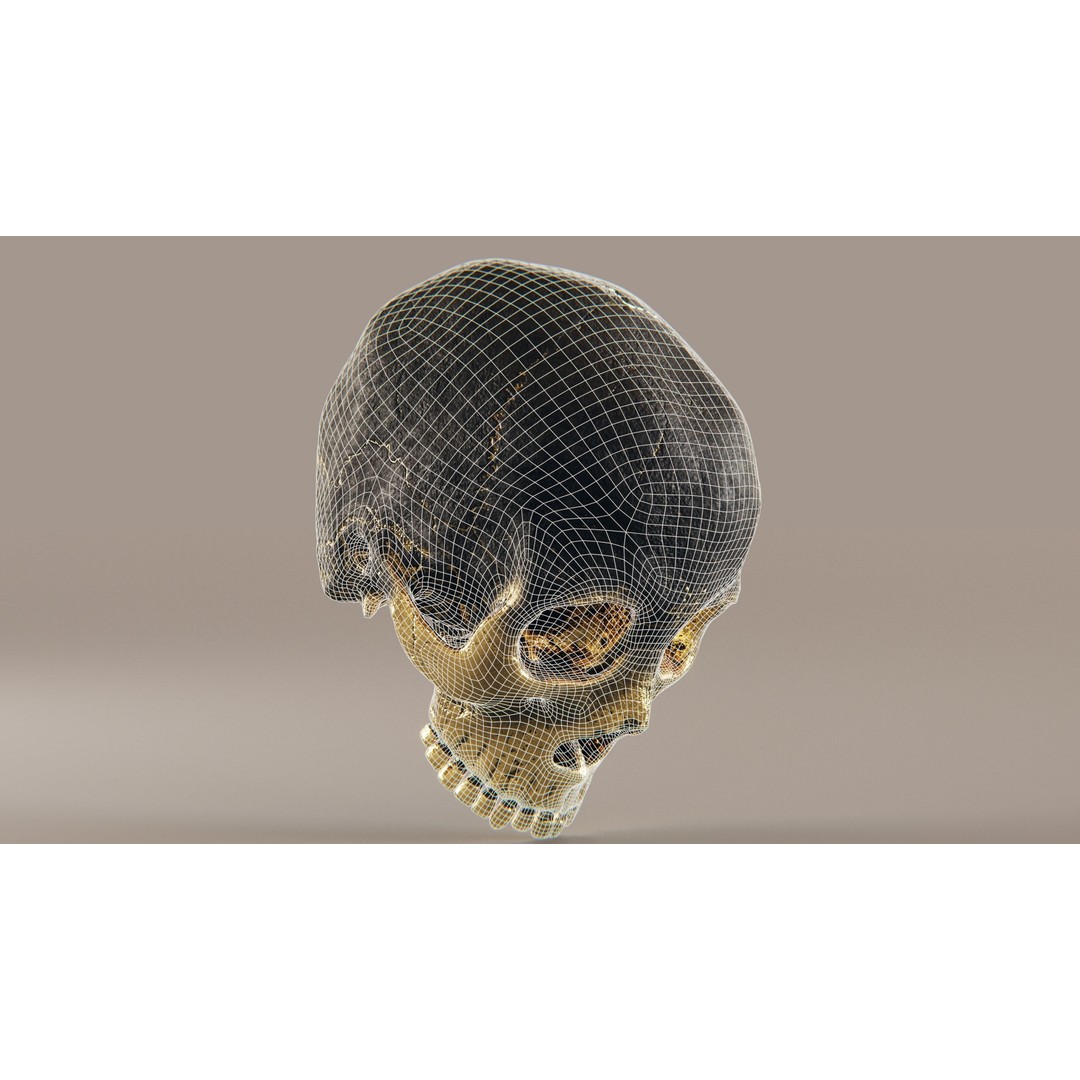 Realistic Ornated Skull 3D Model – PBR Textured, Game-Ready Formats - View 25