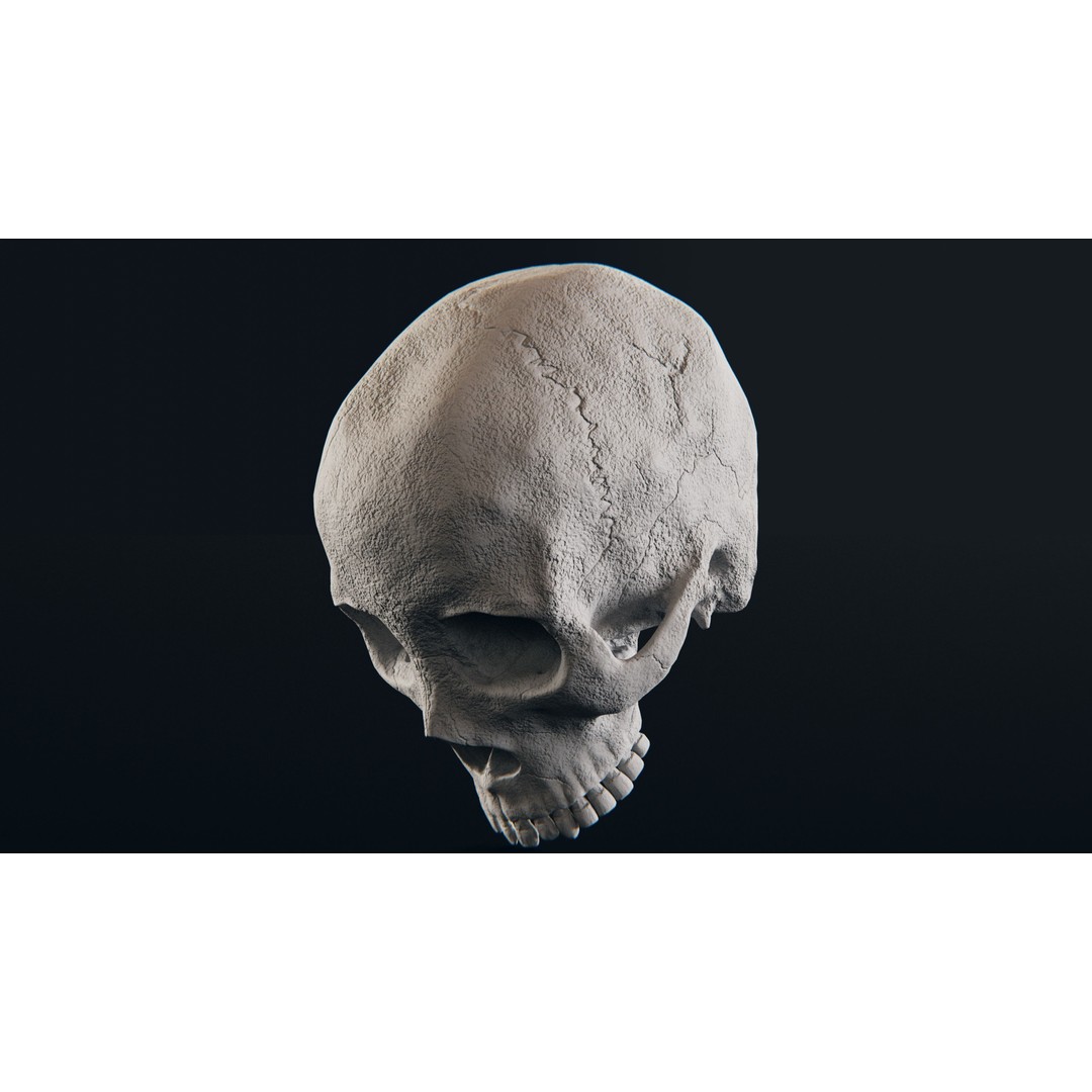 Realistic Ornated Skull 3D Model – PBR Textured, Game-Ready Formats - View 27