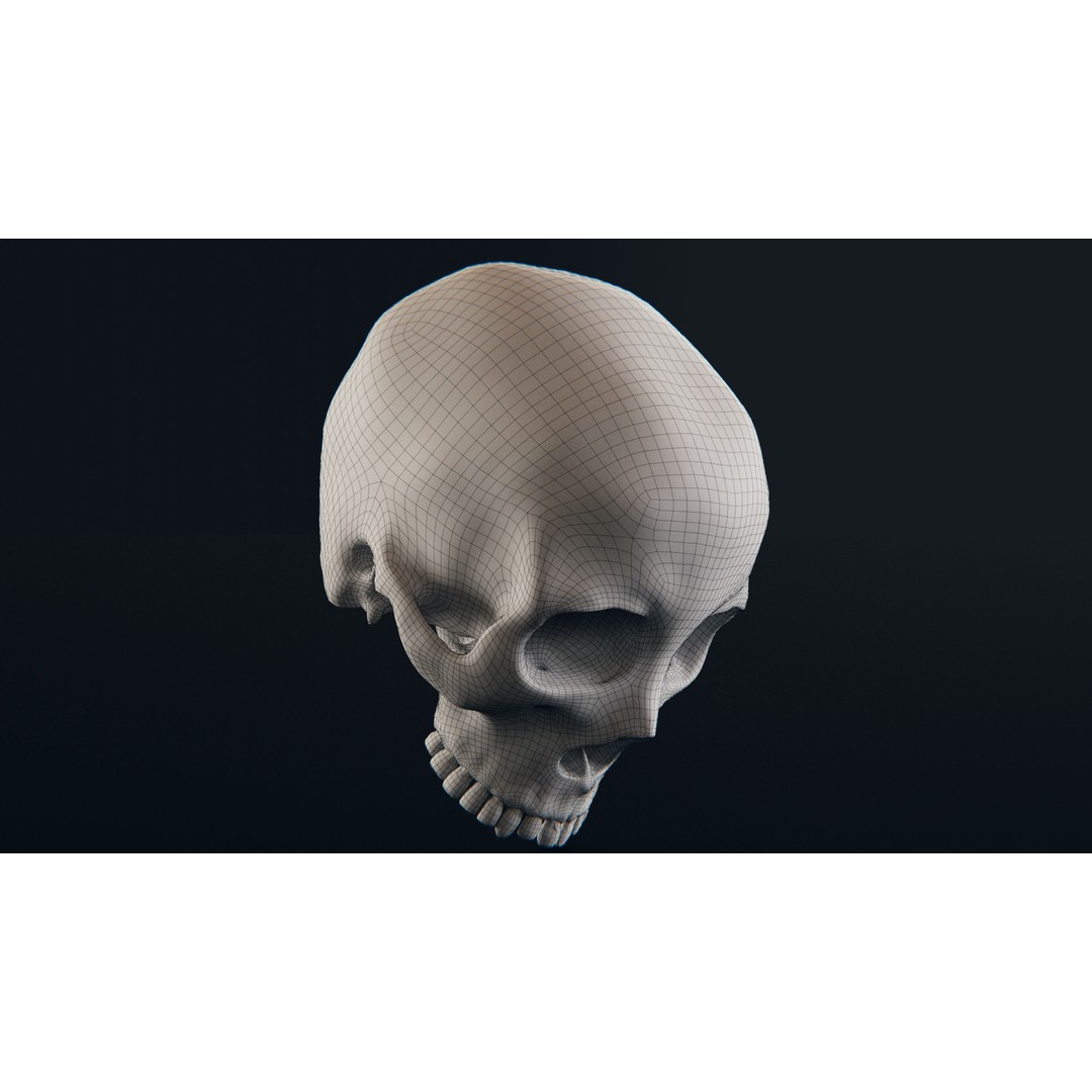 Realistic Ornated Skull 3D Model – PBR Textured, Game-Ready Formats - View 28
