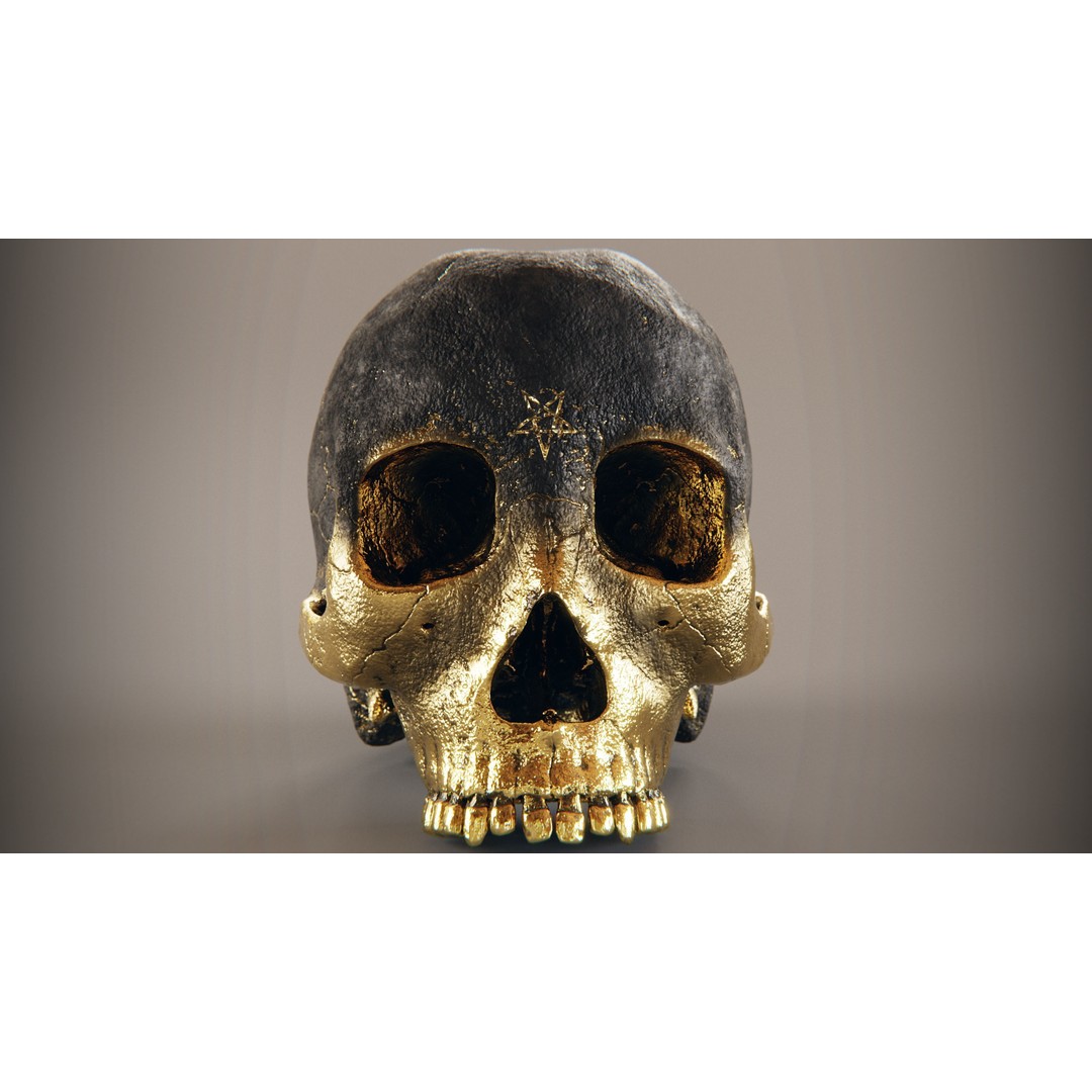 Realistic Ornated Skull 3D Model – PBR Textured, Game-Ready Formats - View 3