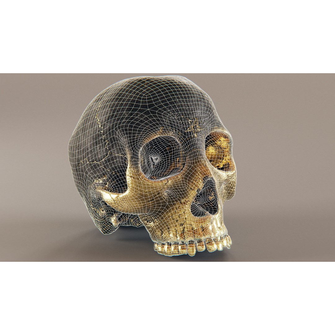 Realistic Ornated Skull 3D Model – PBR Textured, Game-Ready Formats - View 4