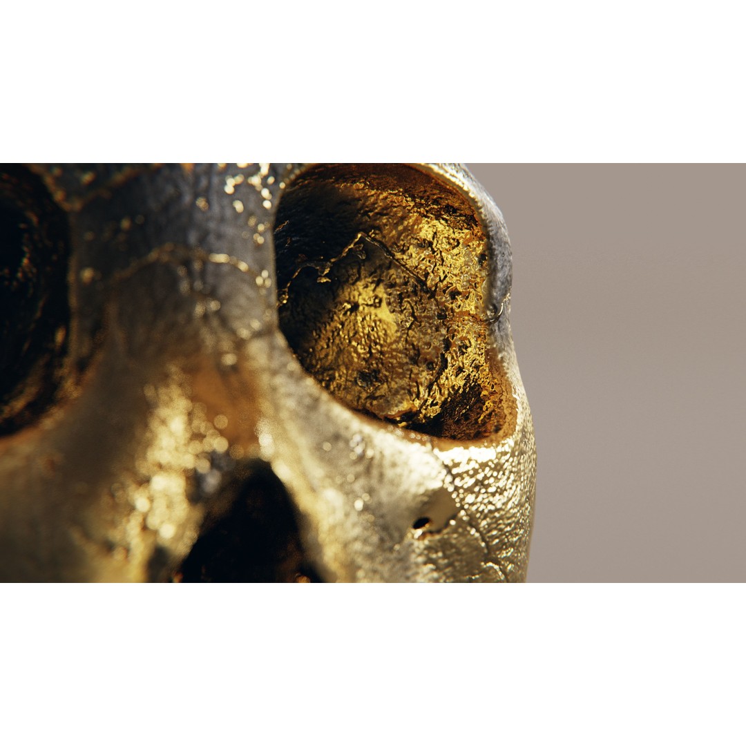 Realistic Ornated Skull 3D Model – PBR Textured, Game-Ready Formats - View 6