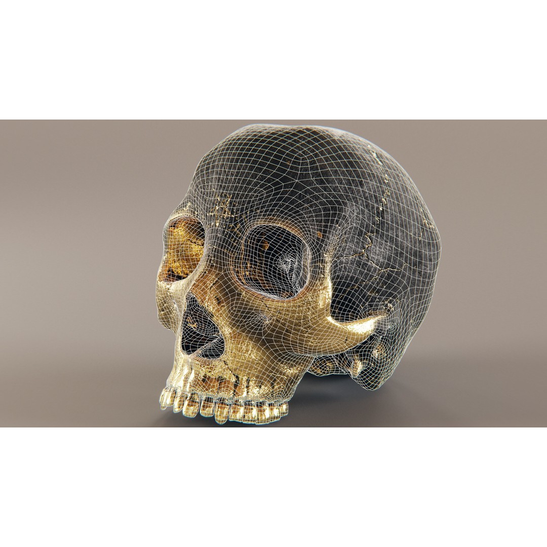 Realistic Ornated Skull 3D Model – PBR Textured, Game-Ready Formats - View 8