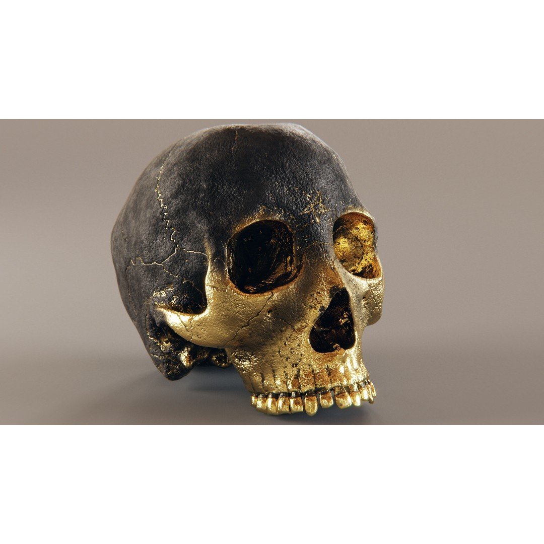 Realistic Ornated Skull 3D Model – PBR Textured, Game-Ready Formats - View 9