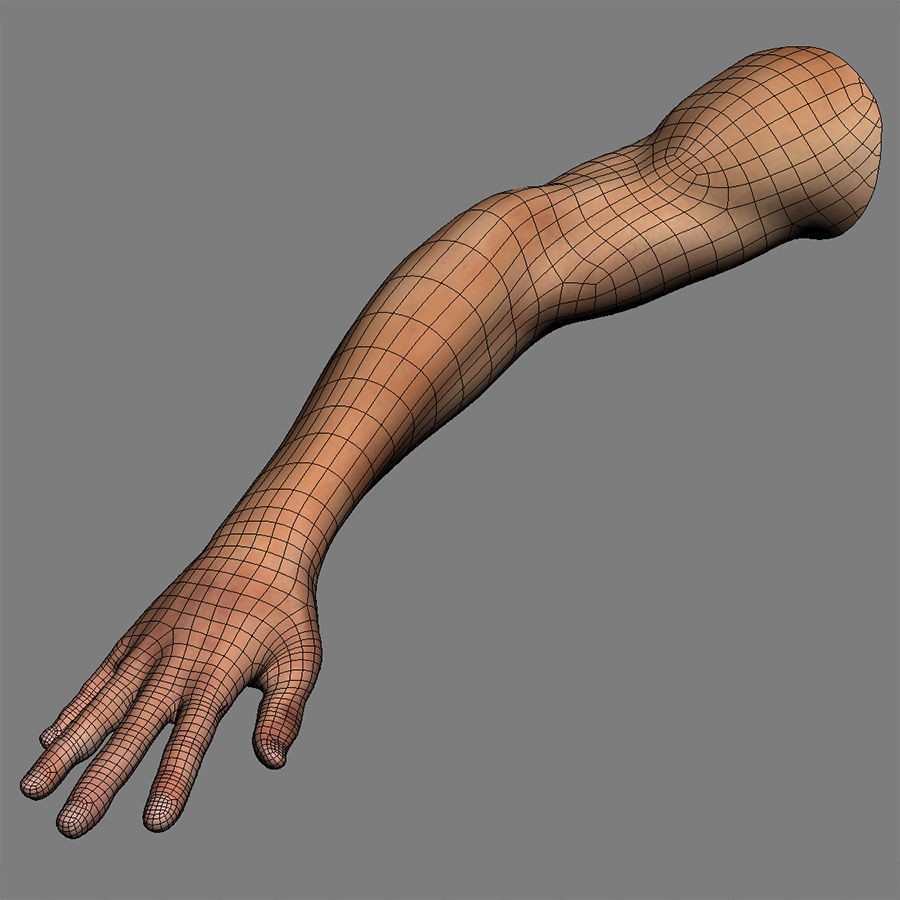 Human Male Arm 3D Model – Anatomically Accurate PBR Character Asset - View 13