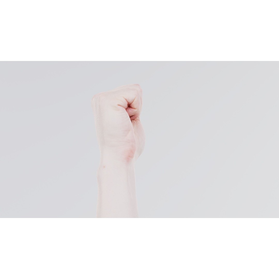 Male Hand 3D Model – Low Poly Fist for American Sign Language, FBX - View 10