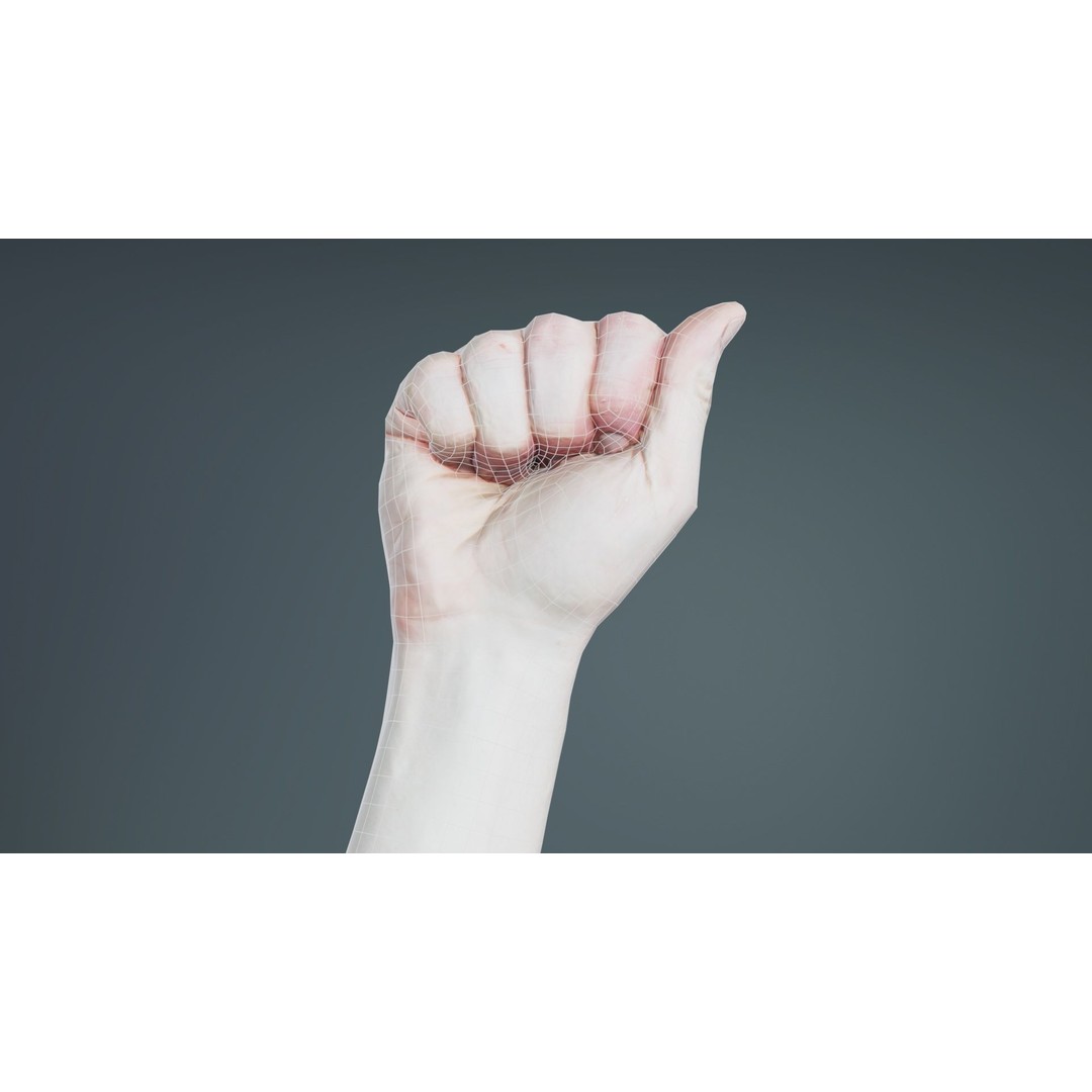 Male Hand 3D Model – Low Poly Fist for American Sign Language, FBX - View 11
