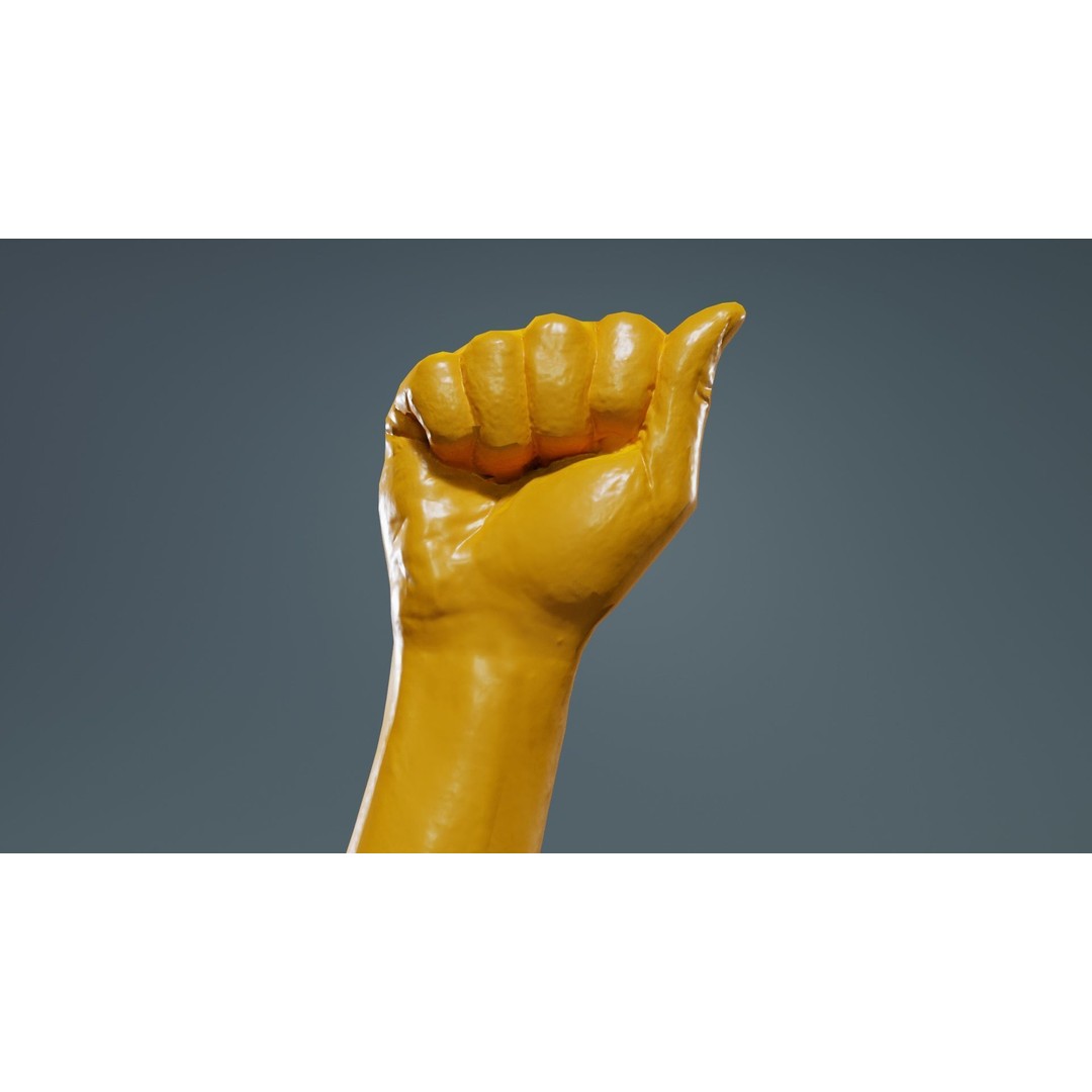 Male Hand 3D Model – Low Poly Fist for American Sign Language, FBX - View 14