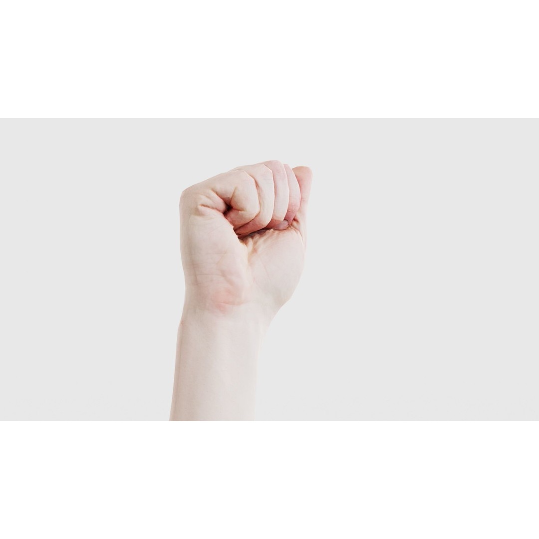 Male Hand 3D Model – Low Poly Fist for American Sign Language, FBX - View 19