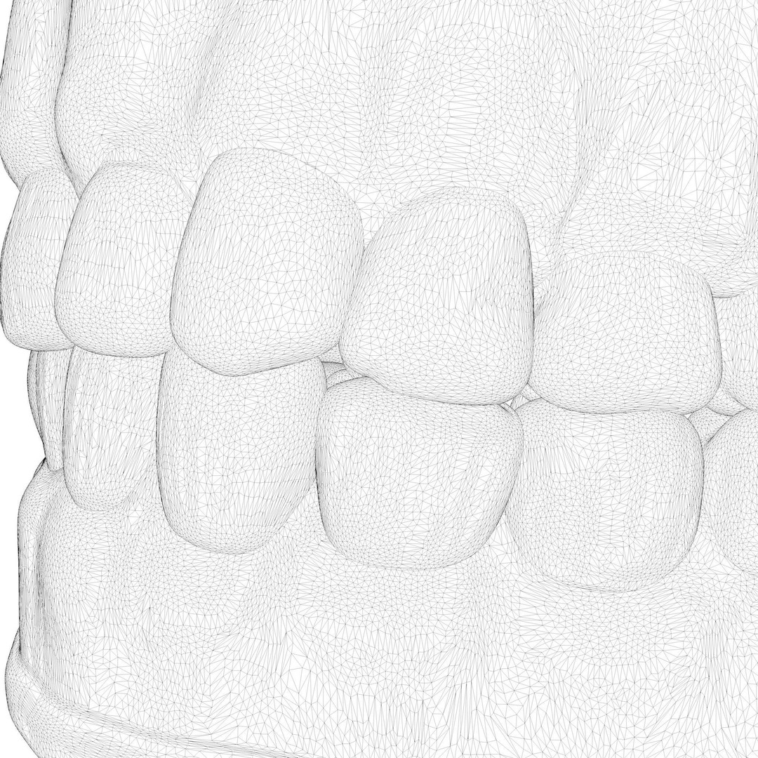 Dentures Mold 3D Model – High Poly Anatomical Asset, FBX, OBJ