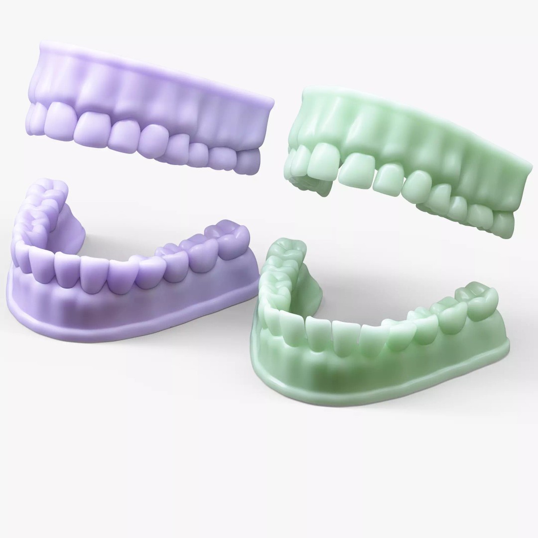 Dentures Mold 3D Model – High Poly Anatomical Asset, FBX, OBJ - View 2