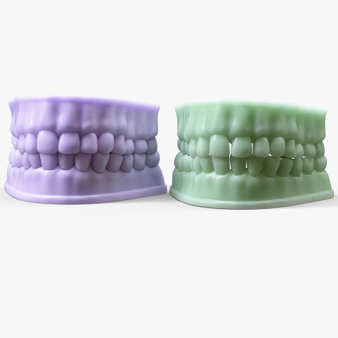 Dentures Mold 3D Model – High Poly Anatomical Asset, FBX, OBJ - View 3