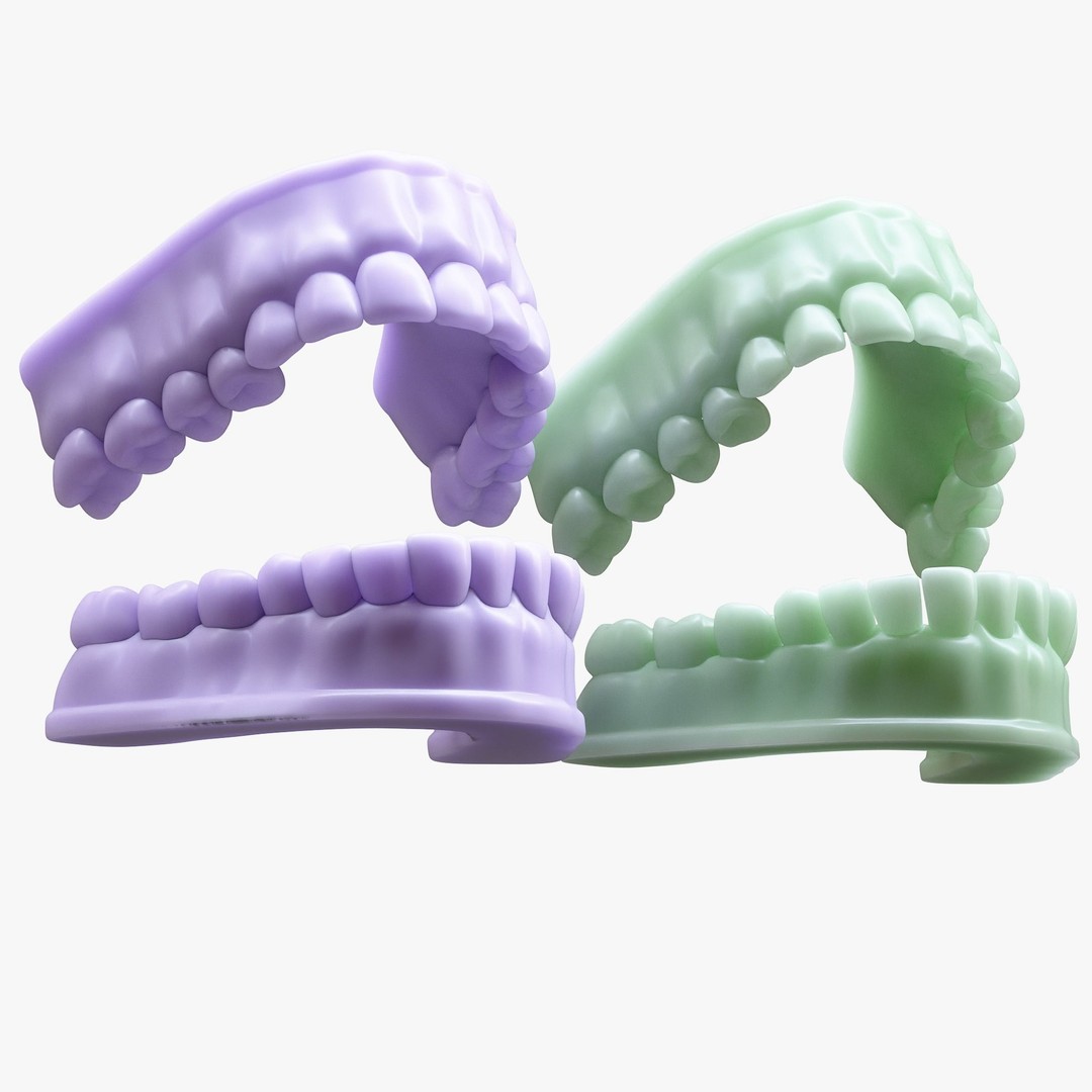 Dentures Mold 3D Model – High Poly Anatomical Asset, FBX, OBJ - View 5