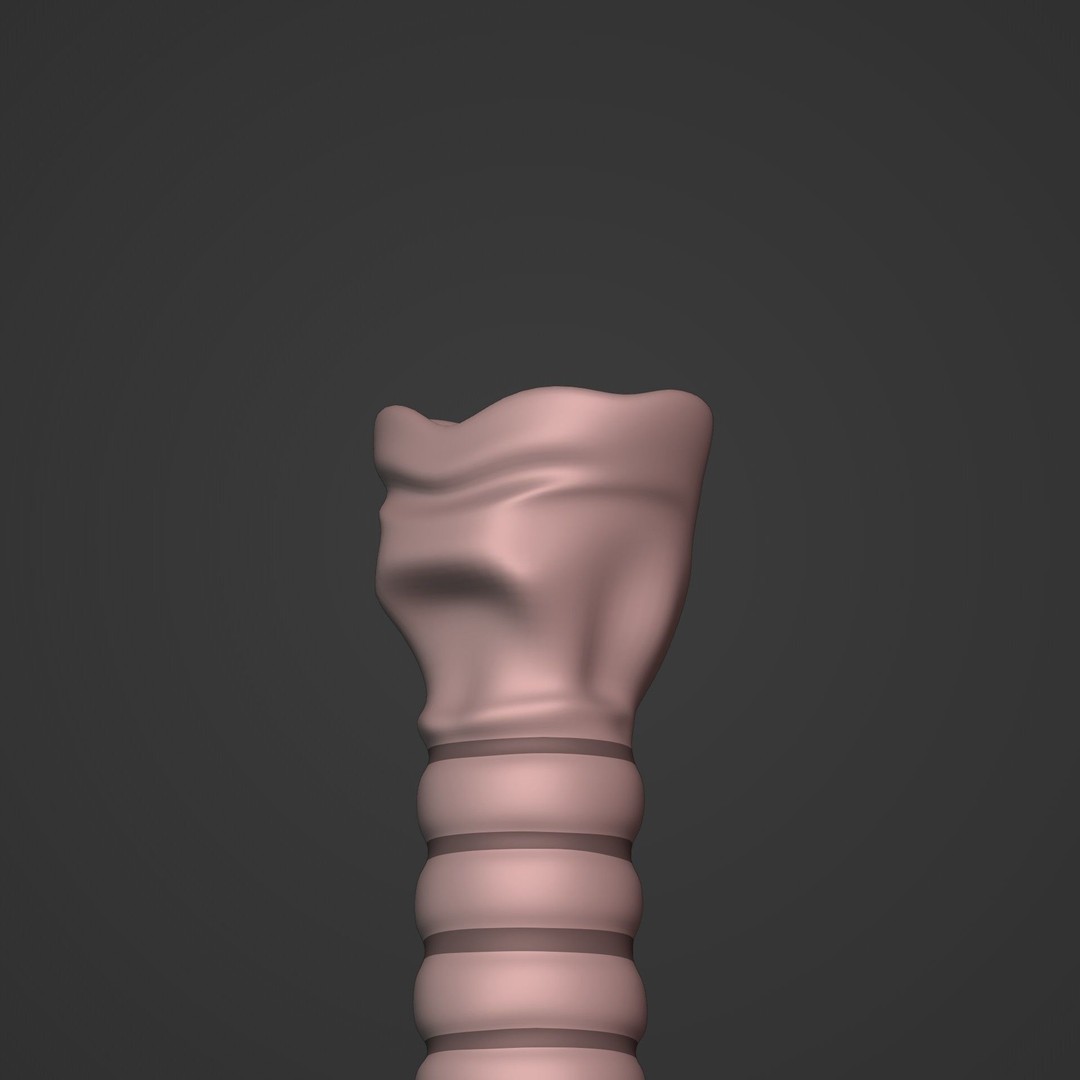 Lungs 3D Model – Low Poly Respiratory System for Blender - View 16