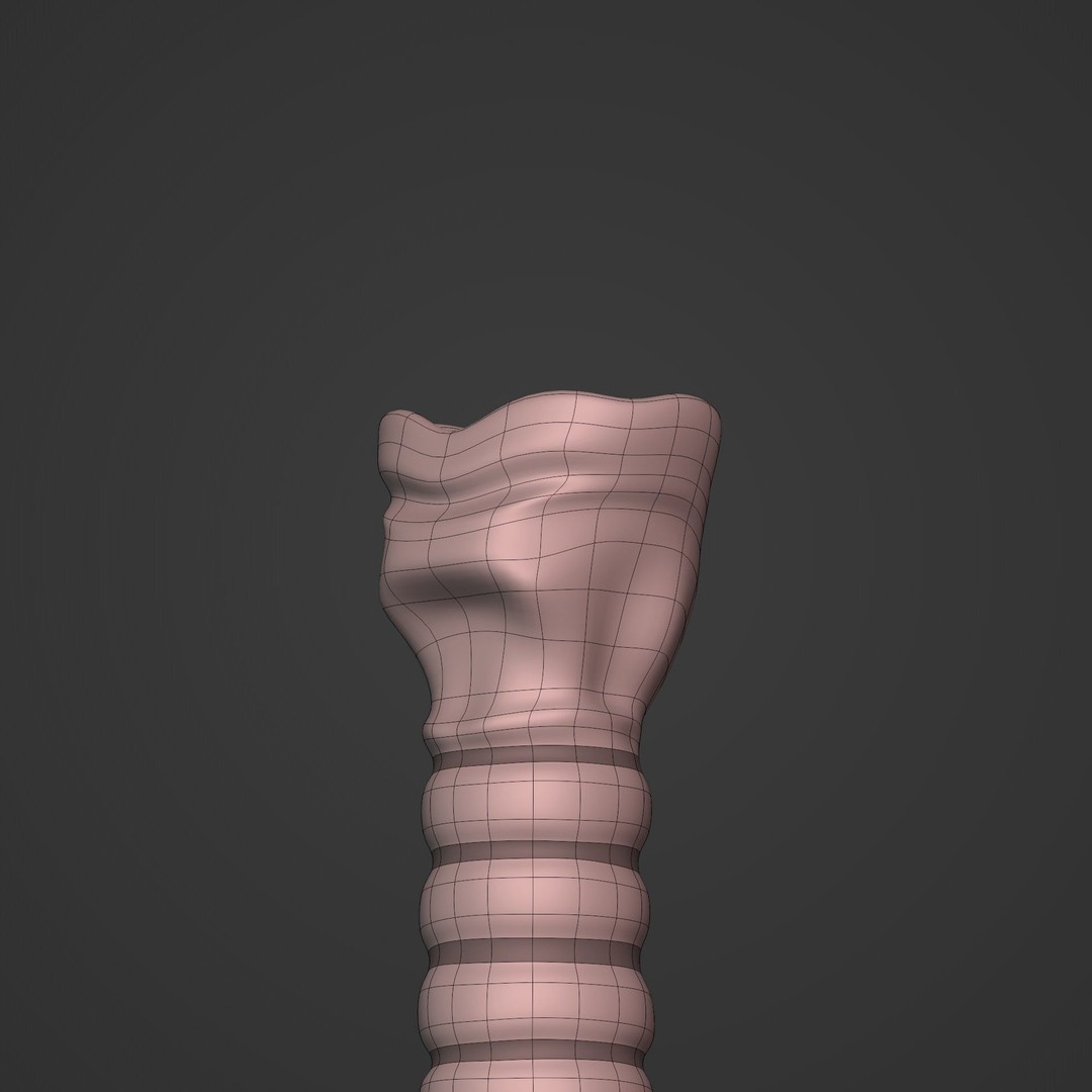 Lungs 3D Model – Low Poly Respiratory System for Blender - View 17