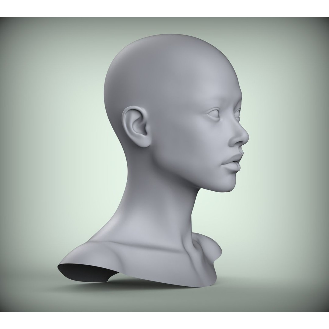 Realistic Female Asian American Head 3D Model – High Poly Printable STL - View 5