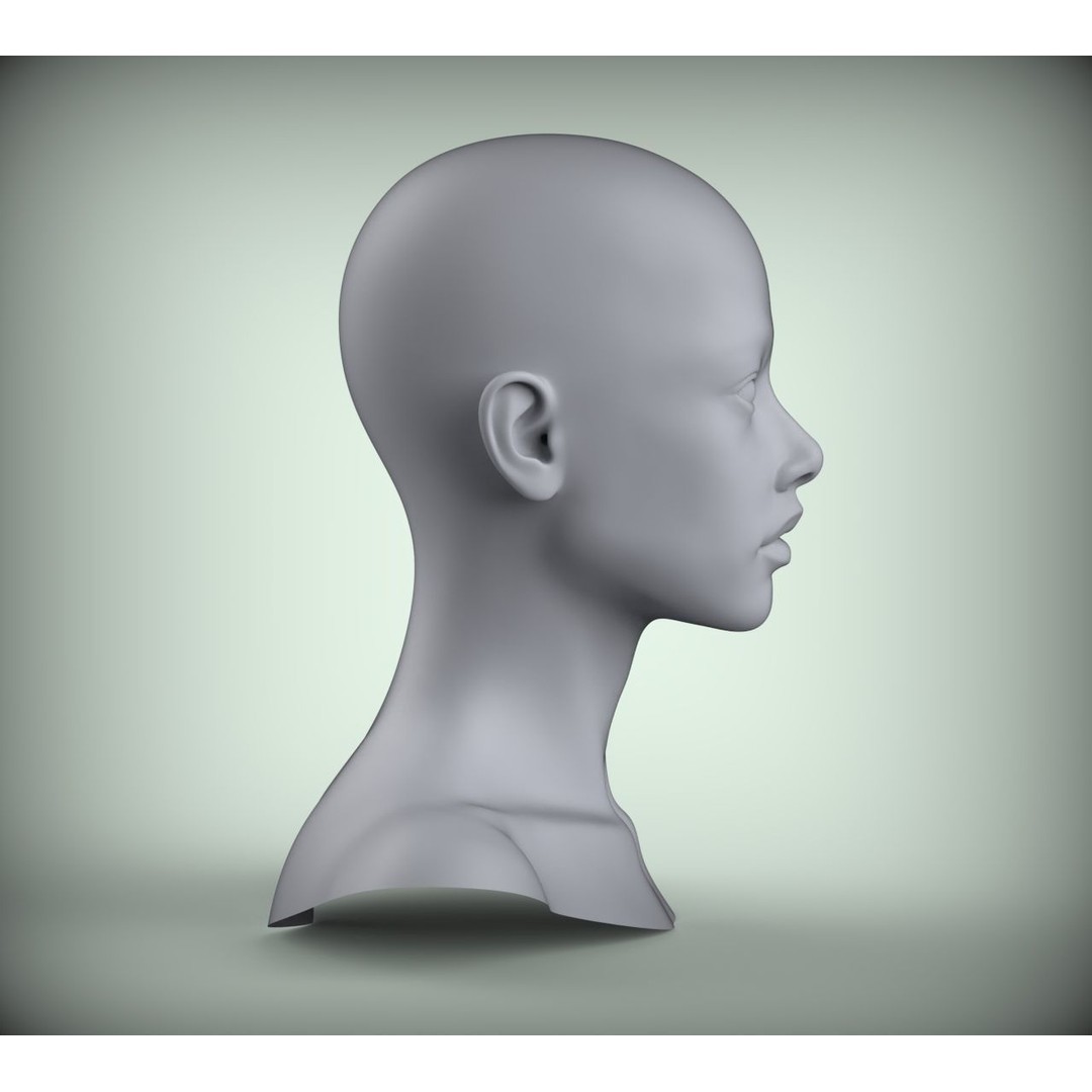 Realistic Female Asian American Head 3D Model – High Poly Printable STL - View 6