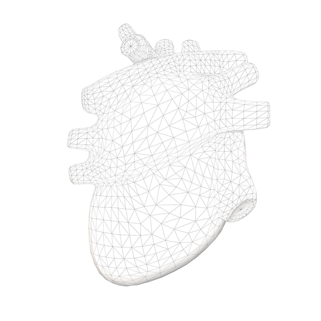 Clay Heart 3D Model – Low Poly Medical Anatomy Asset, FBX