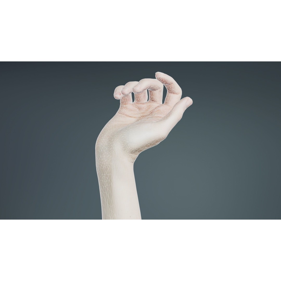 Single Hand 3D Model – Low Poly Photogrammetry Character Asset, FBX - View 11