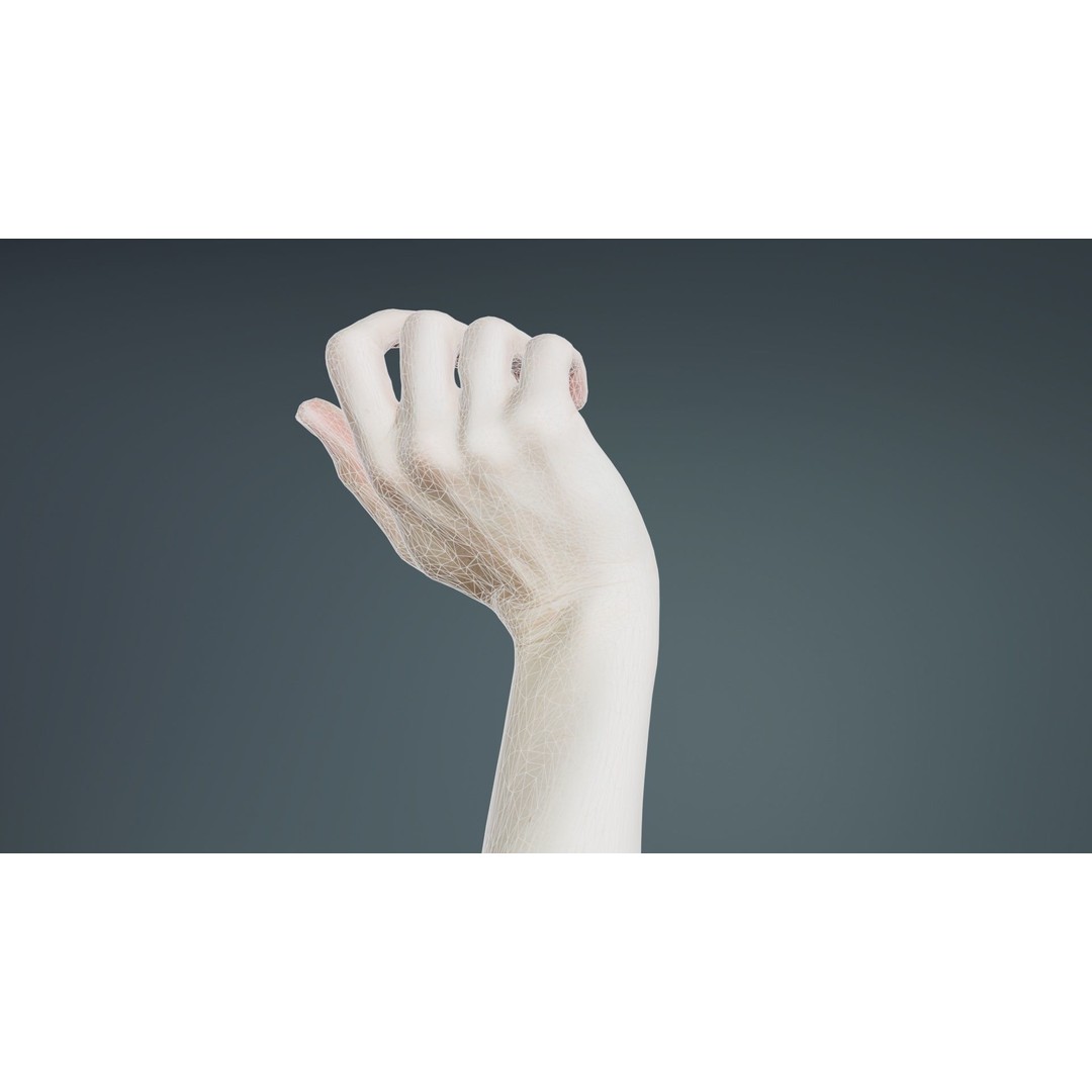 Single Hand 3D Model – Low Poly Photogrammetry Character Asset, FBX - View 12
