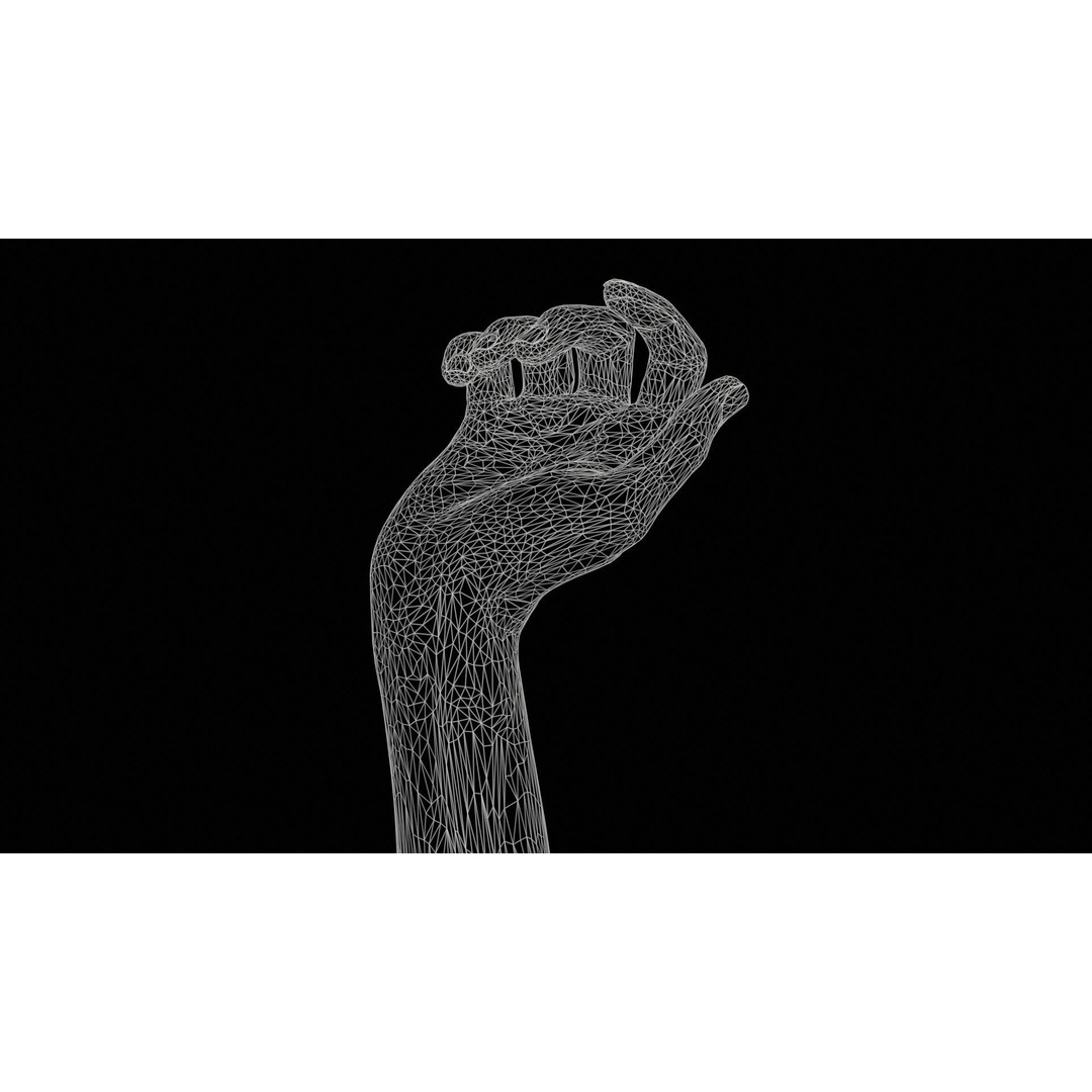 Single Hand 3D Model – Low Poly Photogrammetry Character Asset, FBX - View 13