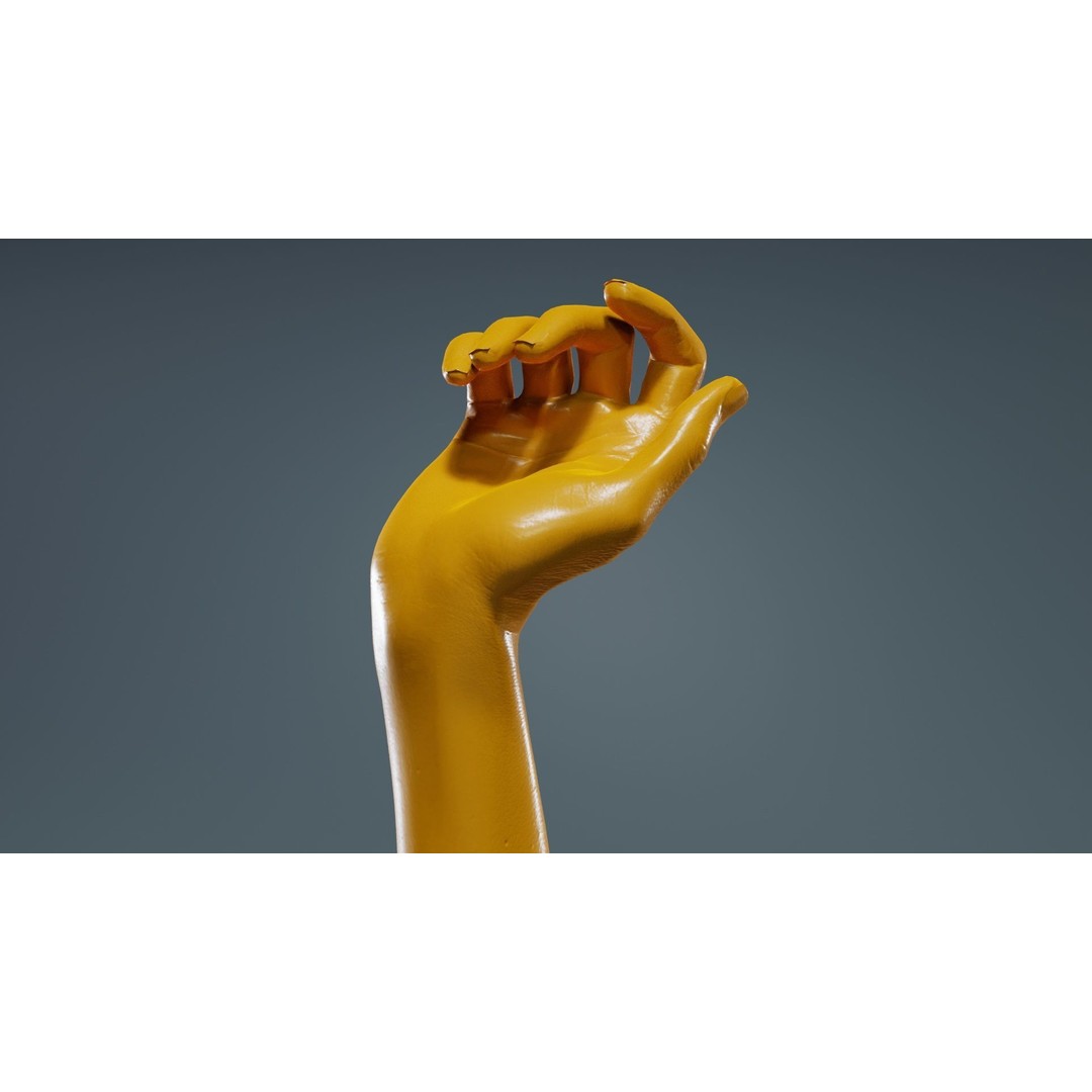 Single Hand 3D Model – Low Poly Photogrammetry Character Asset, FBX - View 14