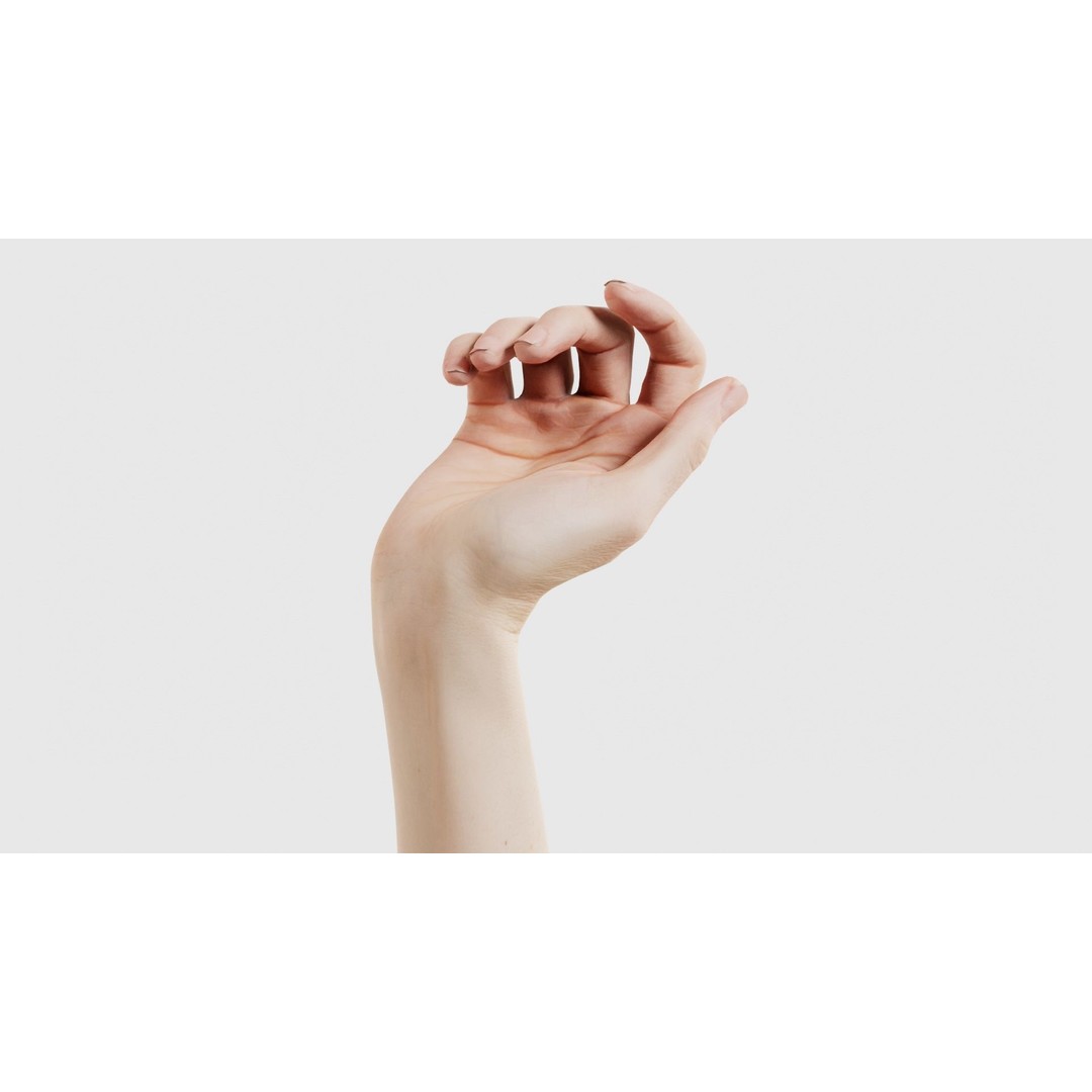Single Hand 3D Model – Low Poly Photogrammetry Character Asset, FBX - View 17