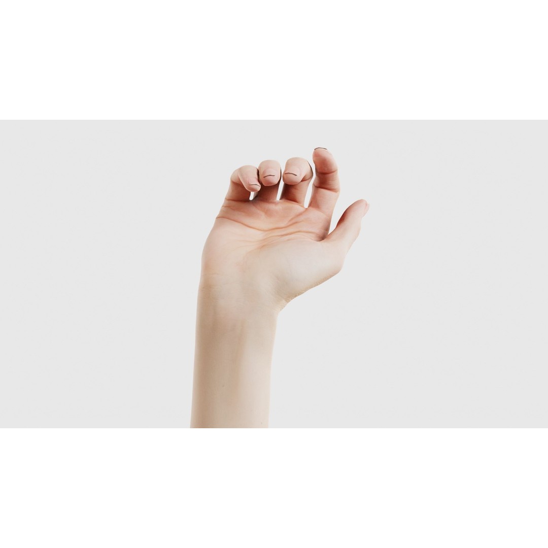 Single Hand 3D Model – Low Poly Photogrammetry Character Asset, FBX - View 18