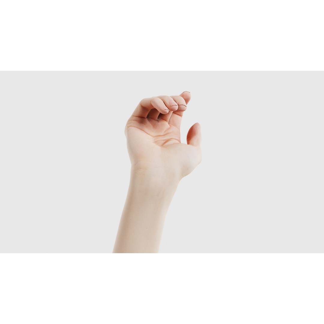 Single Hand 3D Model – Low Poly Photogrammetry Character Asset, FBX - View 19