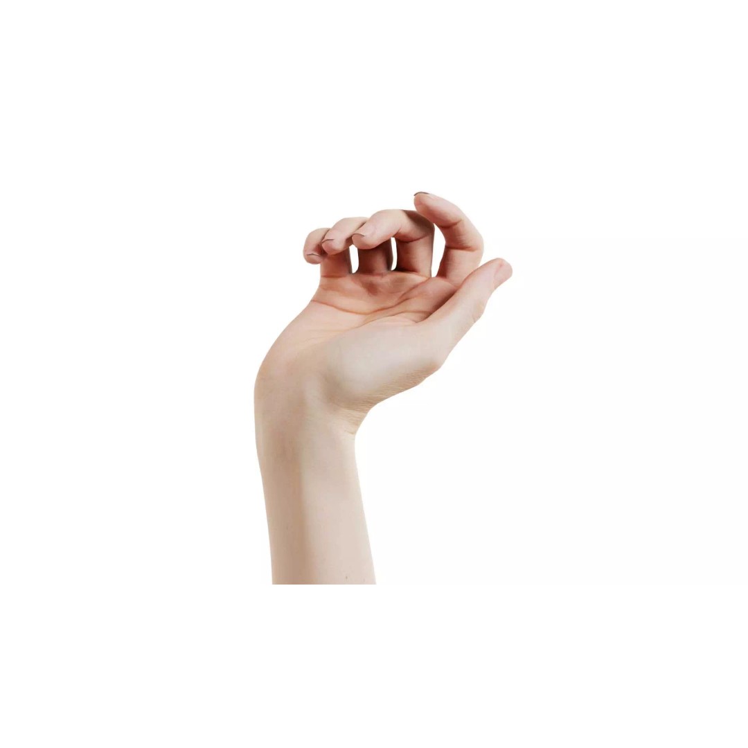 Single Hand 3D Model – Low Poly Photogrammetry Character Asset, FBX - View 2