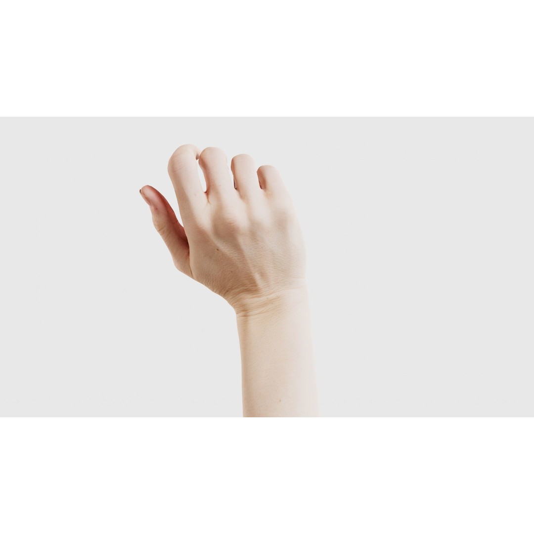 Single Hand 3D Model – Low Poly Photogrammetry Character Asset, FBX - View 24