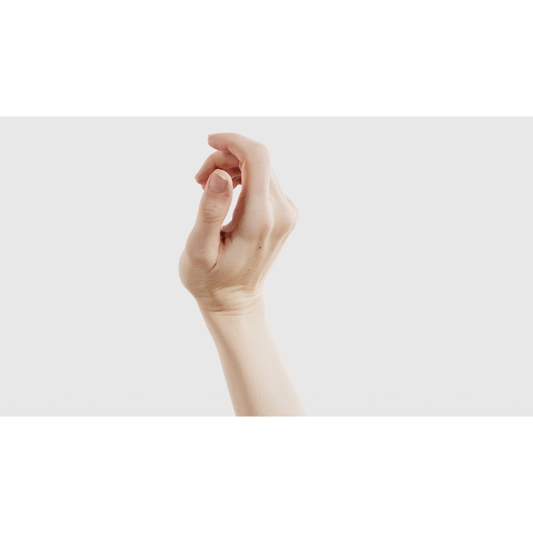 Single Hand 3D Model – Low Poly Photogrammetry Character Asset, FBX - View 26