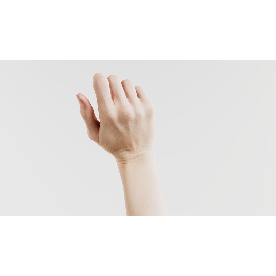 Single Hand 3D Model – Low Poly Photogrammetry Character Asset, FBX - View 6