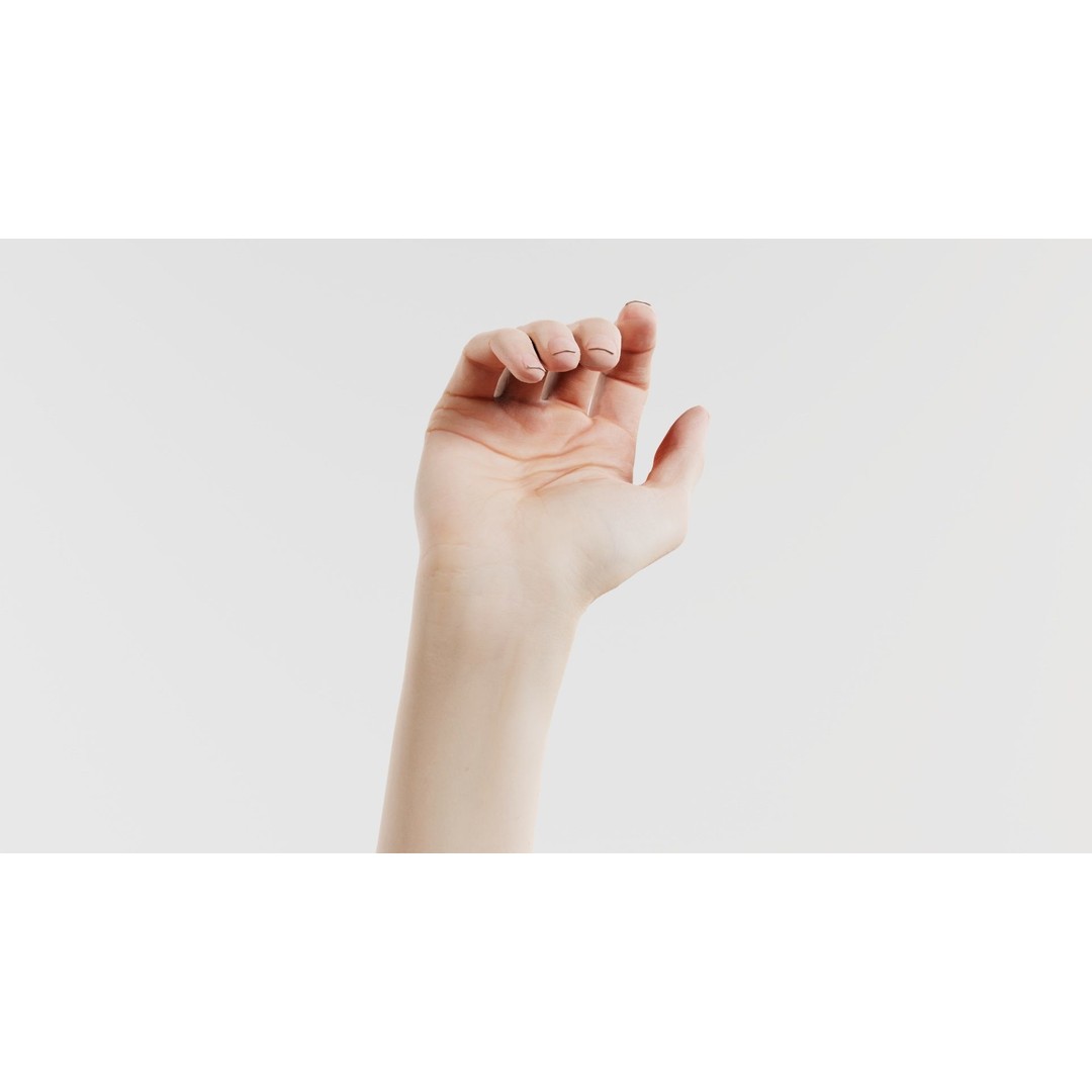 Single Hand 3D Model – Low Poly Photogrammetry Character Asset, FBX - View 8