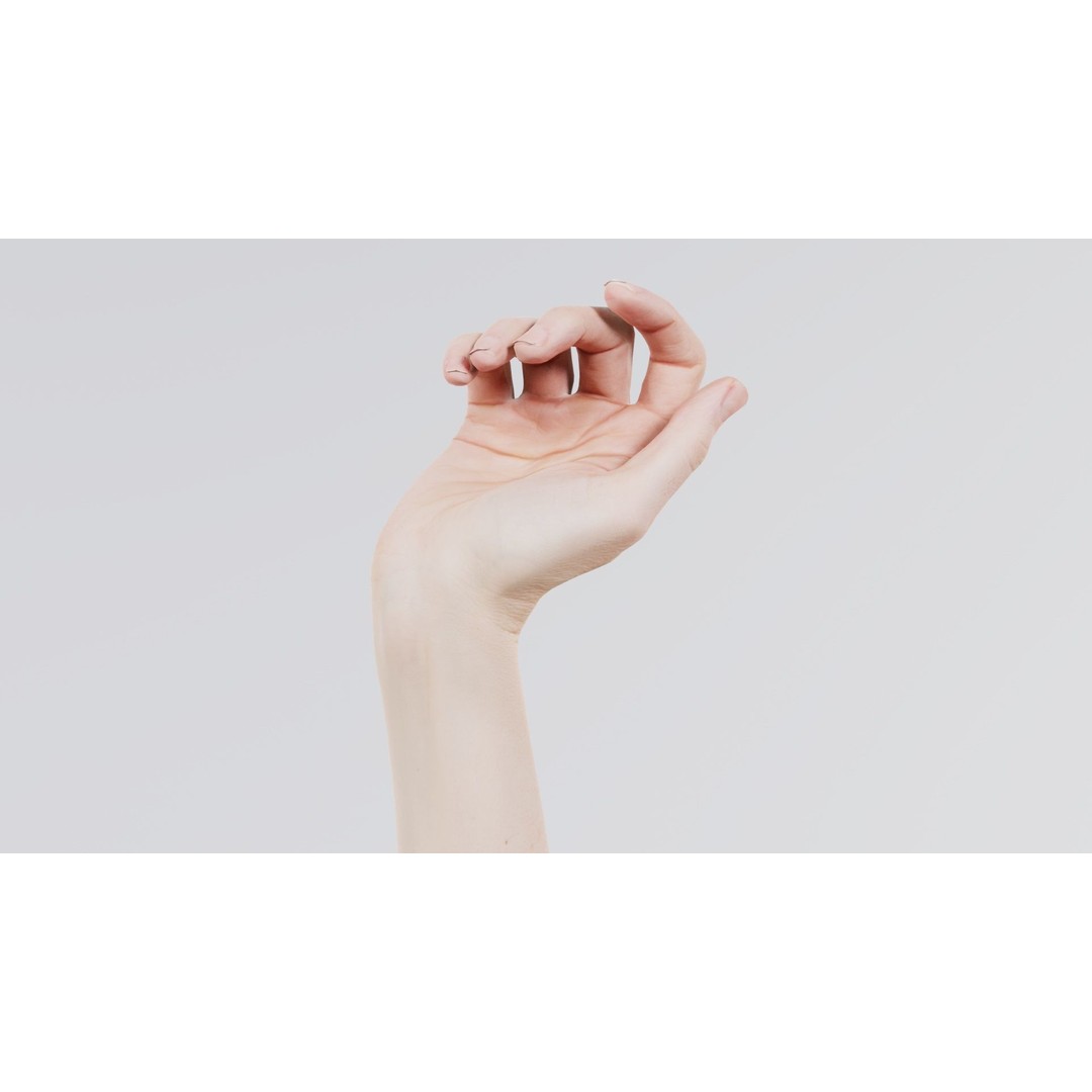 Single Hand 3D Model – Low Poly Photogrammetry Character Asset, FBX - View 9