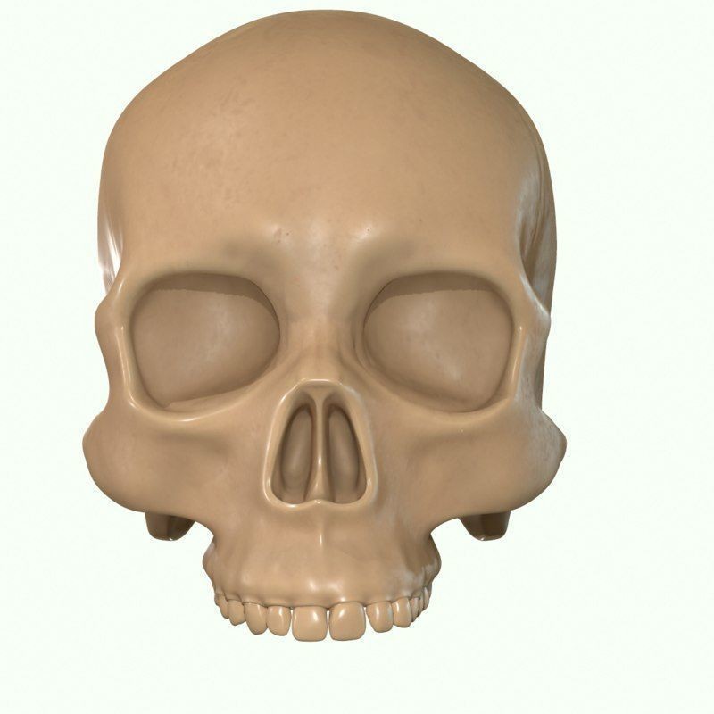 Full Head Muscle Anatomy 3D Model – Detailed Anatomical Reference, OBJ & STL - View 30