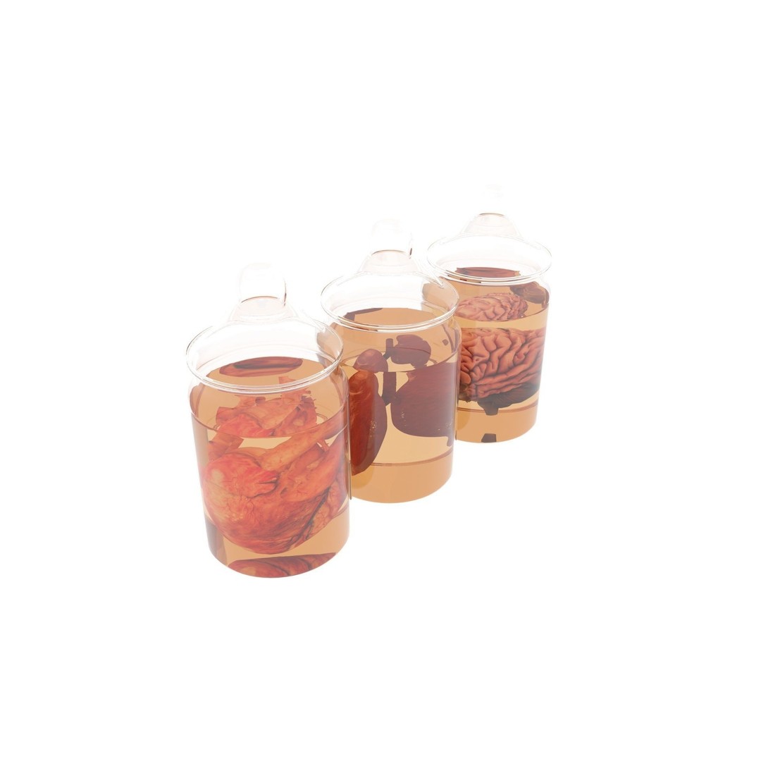 Vintage Organ Jars 3D Model – High Poly Medical Collection, FBX, OBJ - View 10