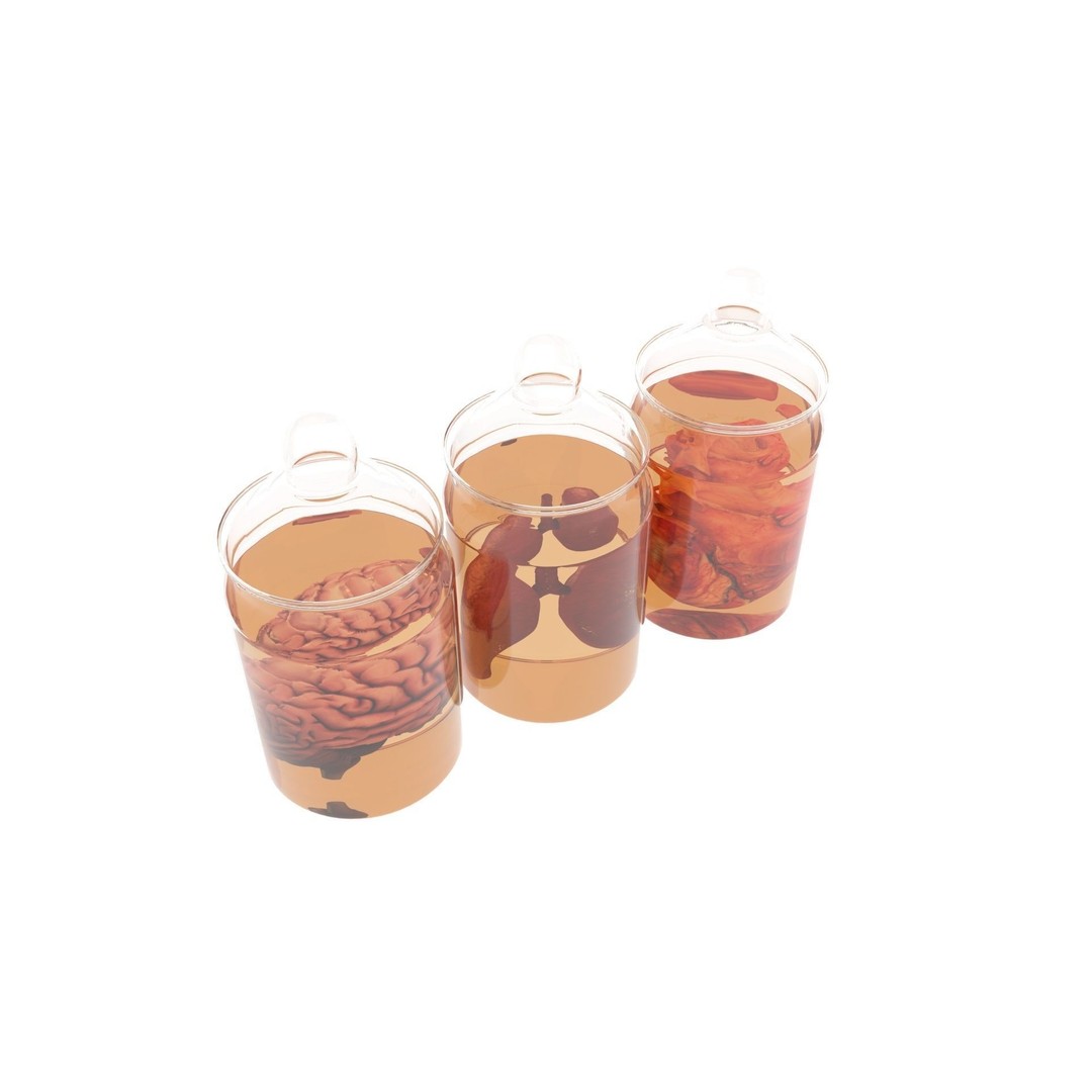 Vintage Organ Jars 3D Model – High Poly Medical Collection, FBX, OBJ - View 12
