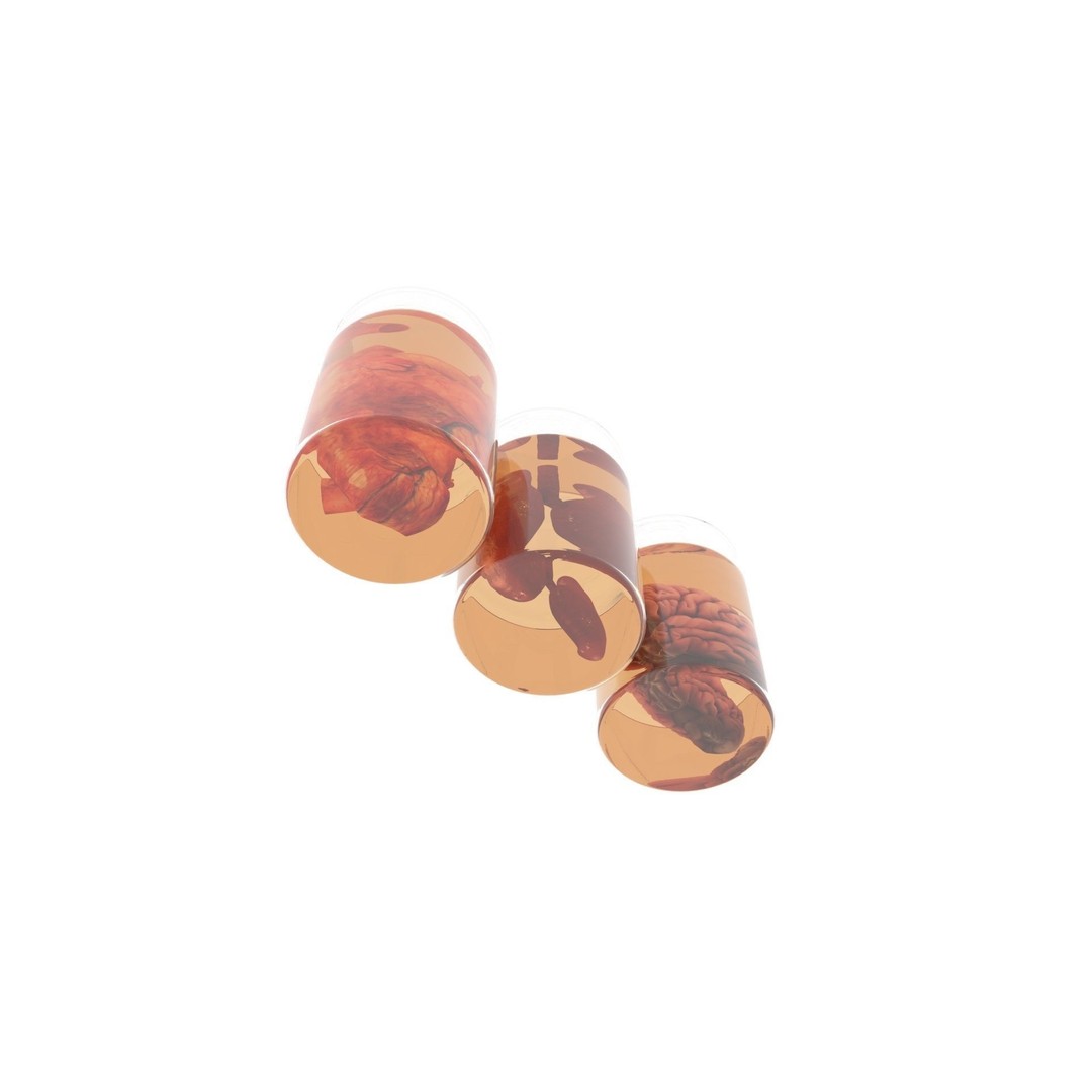 Vintage Organ Jars 3D Model – High Poly Medical Collection, FBX, OBJ - View 14