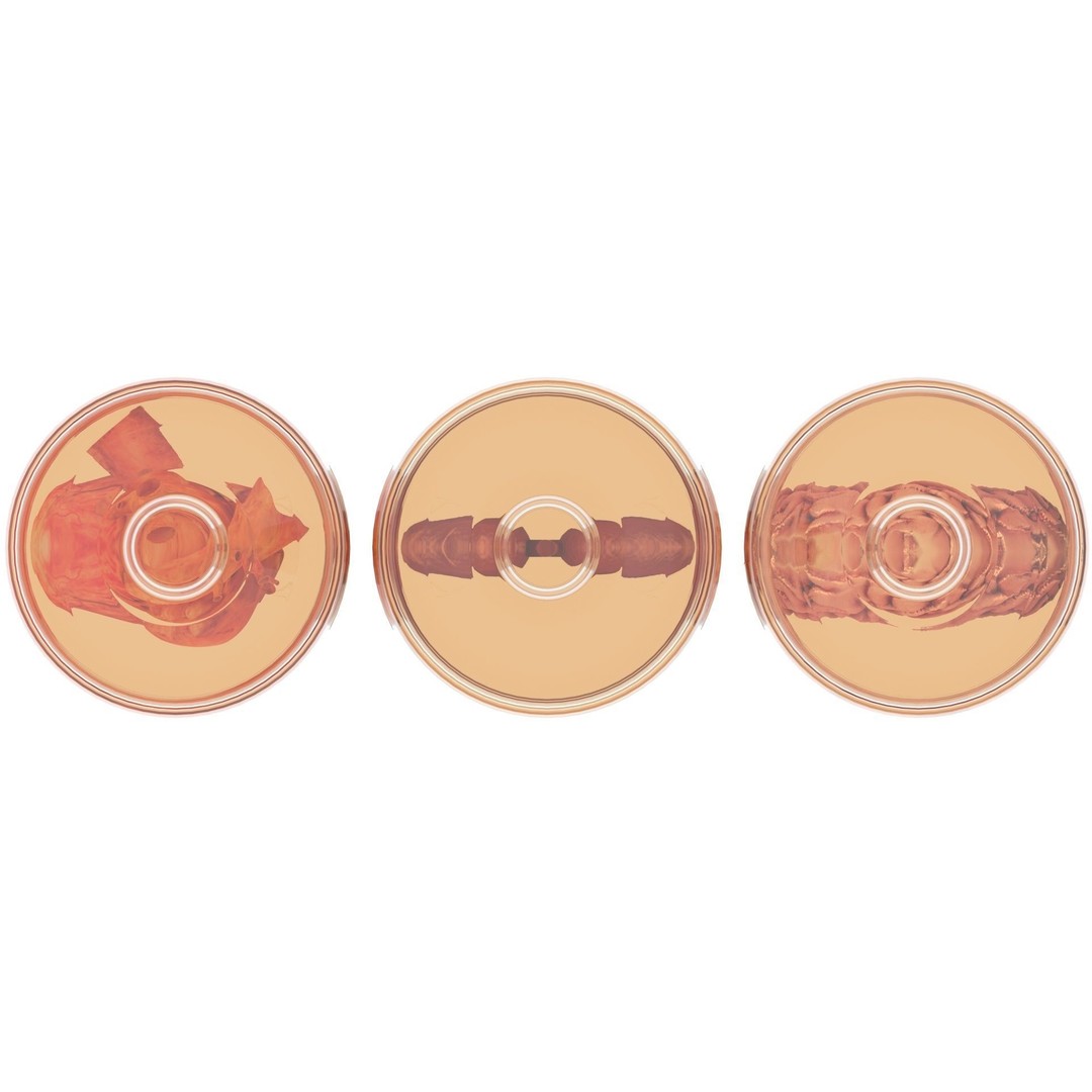 Vintage Organ Jars 3D Model – High Poly Medical Collection, FBX, OBJ - View 17