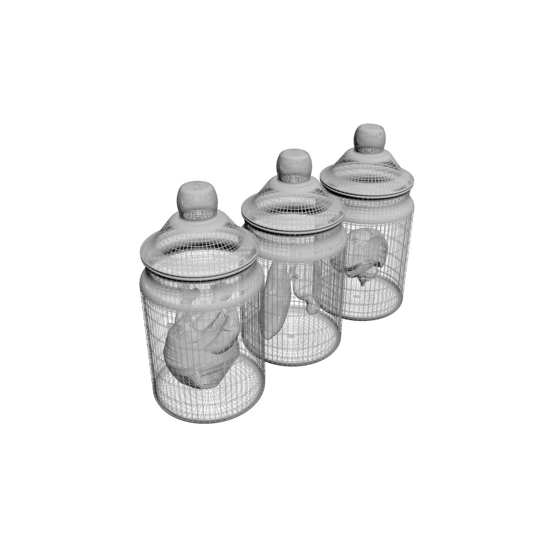 Vintage Organ Jars 3D Model – High Poly Medical Collection, FBX, OBJ - View 18