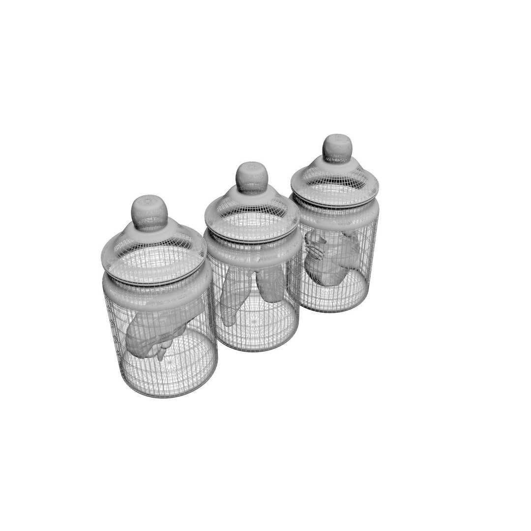 Vintage Organ Jars 3D Model – High Poly Medical Collection, FBX, OBJ - View 20