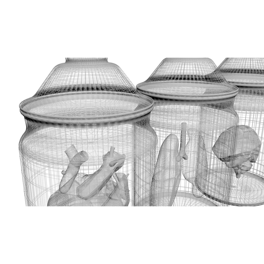 Vintage Organ Jars 3D Model – High Poly Medical Collection, FBX, OBJ - View 22