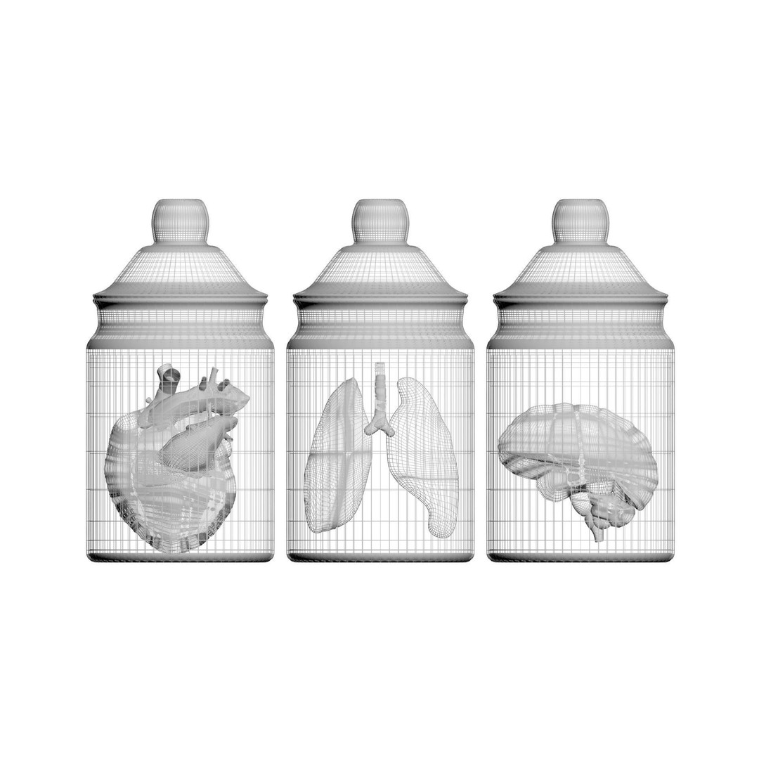 Vintage Organ Jars 3D Model – High Poly Medical Collection, FBX, OBJ - View 24