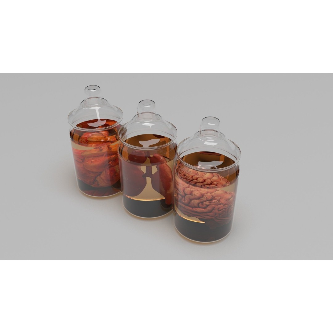 Vintage Organ Jars 3D Model – High Poly Medical Collection, FBX, OBJ - View 3