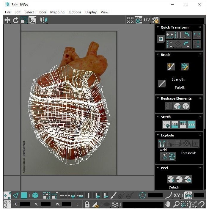 Vintage Organ Jars 3D Model – High Poly Medical Collection, FBX, OBJ - View 30