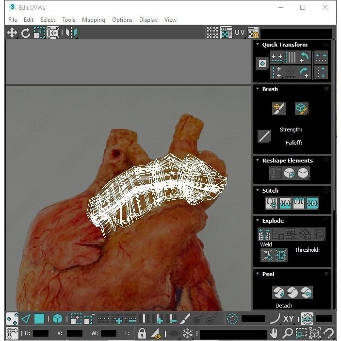 Vintage Organ Jars 3D Model – High Poly Medical Collection, FBX, OBJ - View 31