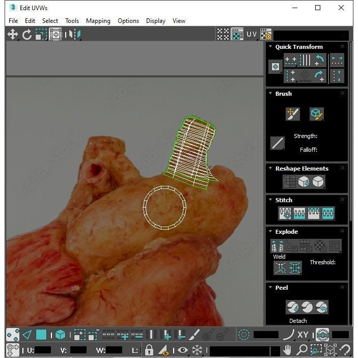 Vintage Organ Jars 3D Model – High Poly Medical Collection, FBX, OBJ - View 34