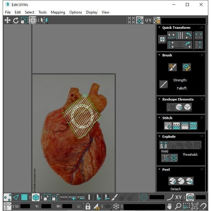 Vintage Organ Jars 3D Model – High Poly Medical Collection, FBX, OBJ - View 35